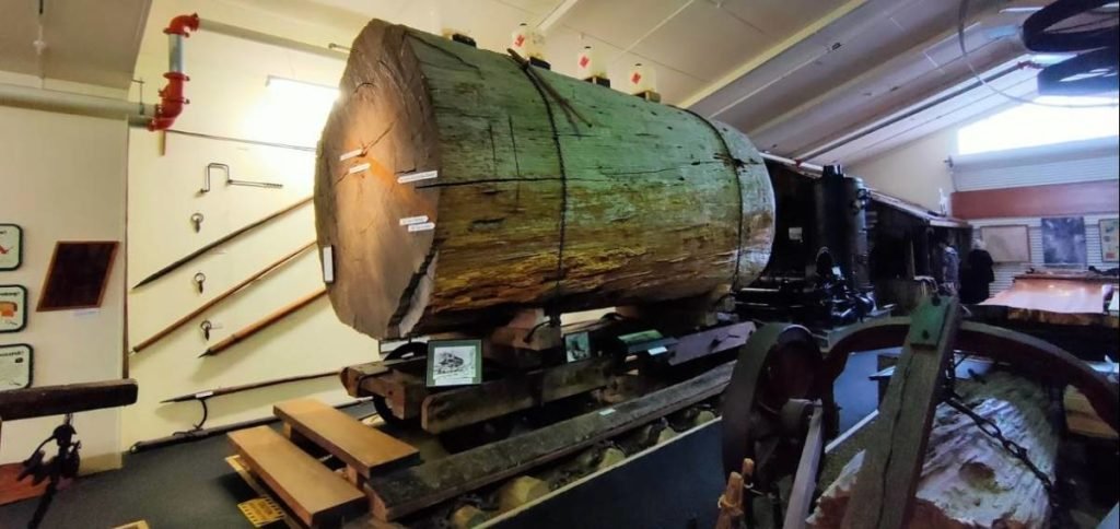 Kauri Museum New Zealand